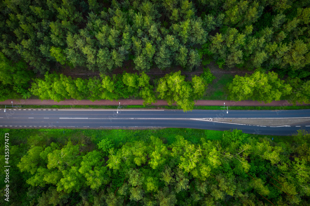 夏季穿过绿色森林的道路俯视图。