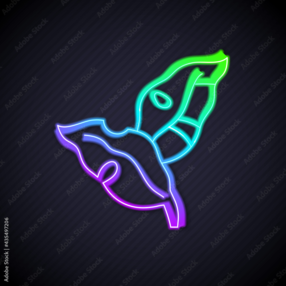 Glowing neon line Tropical leaves of palm tree icon isolated on black background. Vector