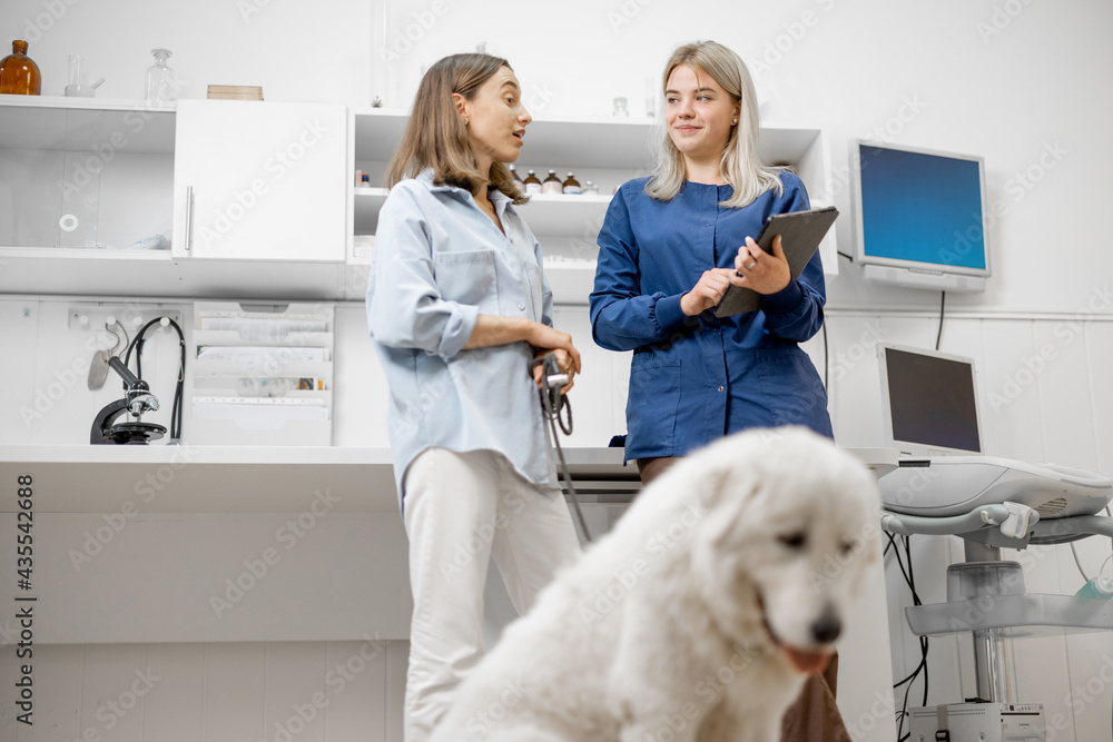 Big white dog sitting on the floor while the veterinarian doctor speaking with owner behind the pet.