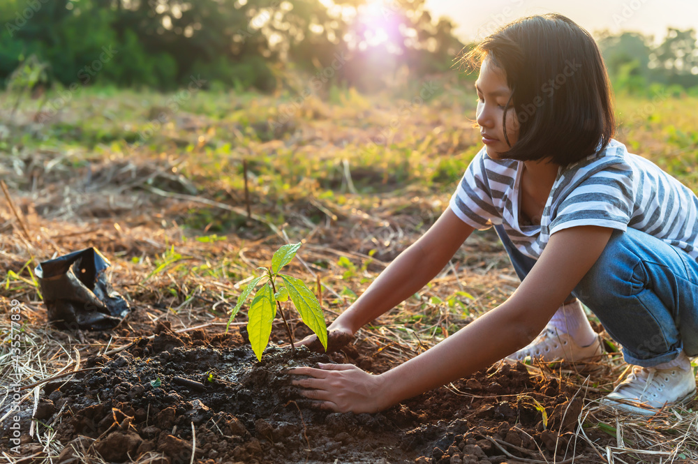 children hand holding small tree for planting in garden. concept green world