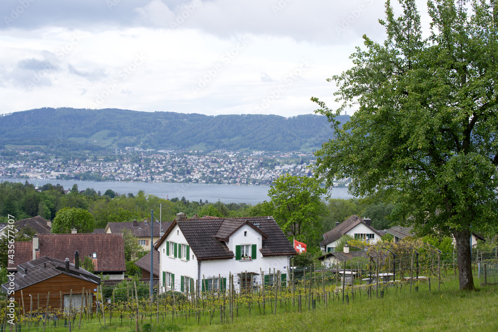 从苏黎世维提康（Zurich Witikon）到苏黎世城市和湖泊以及瑞士阿尔卑斯山的景色。摄于2021 5月25日，祖
1104376314,苏黎世维提康新教教堂公墓。摄于2021 5月25日，瑞士苏