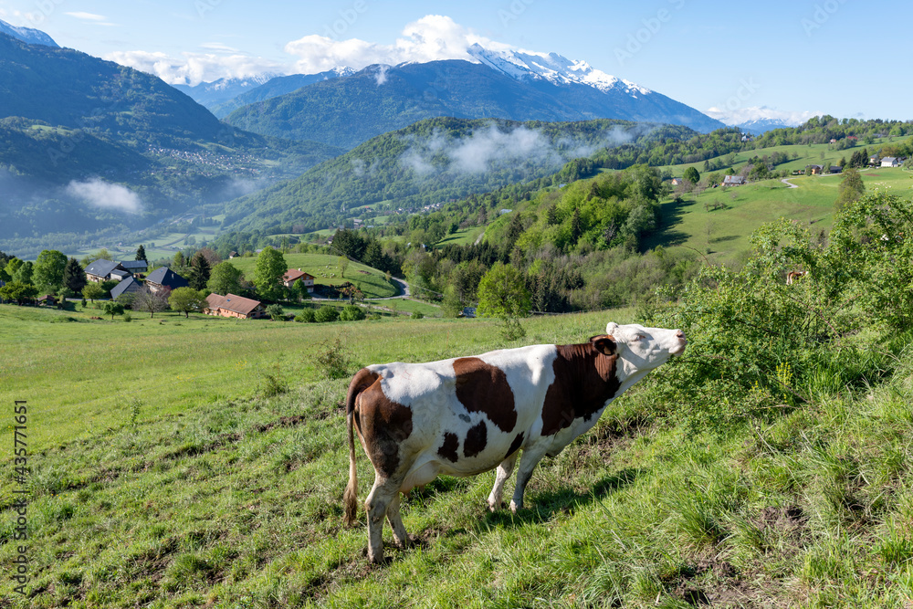 Paysage de montagne dans le parc Naturel Régional des Bauges en Savoie dans les Alpes françaises au 