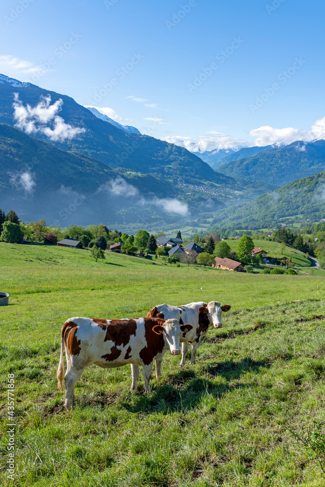 Paysage de montagne dans le parc Naturel Régional des Bauges en Savoie dans les Alpes françaises au 