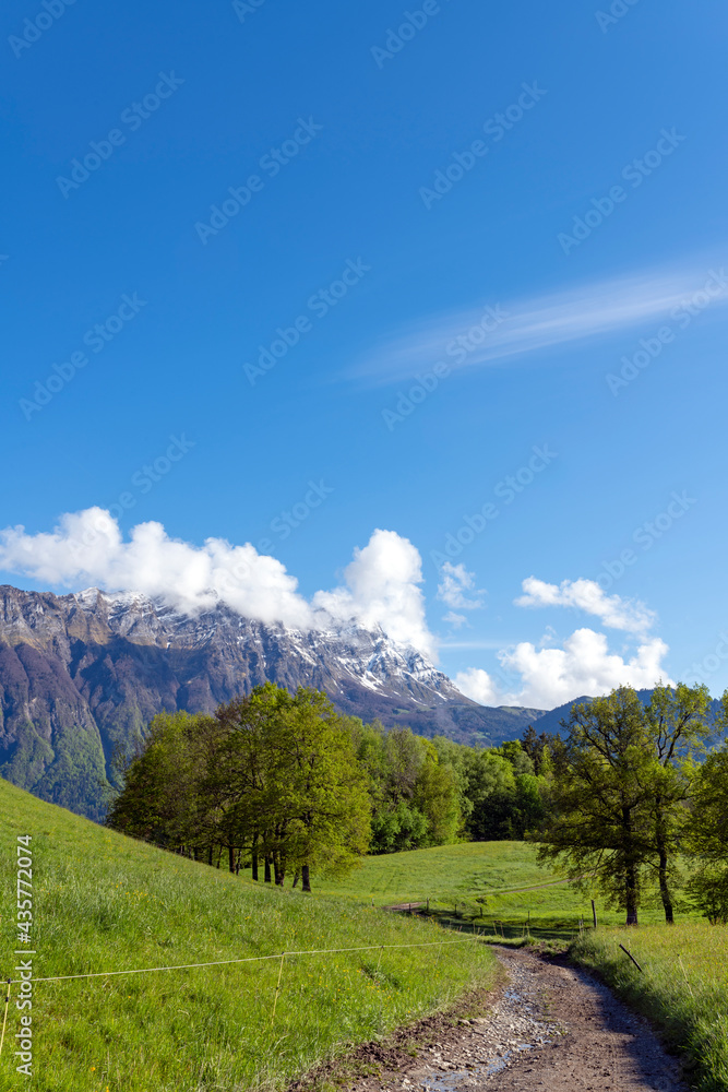 Paysage de montagne dans le parc Naturel Régional des Bauges en Savoie dans les Alpes françaises au 