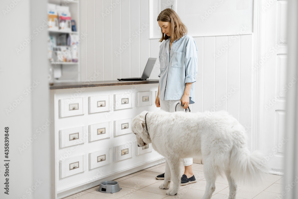 Woman with big white dog waiting for the veterinarian on reception in veterinary clinic. Pet care co