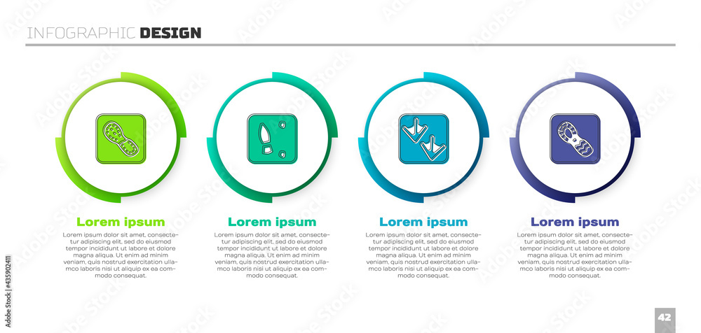 设置人类足迹鞋、鹅掌和。商业信息图模板。Vector