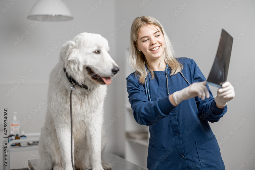 Happy Vet radiologist shows his patient medical x-ray image of dogs paw with good result in veterina