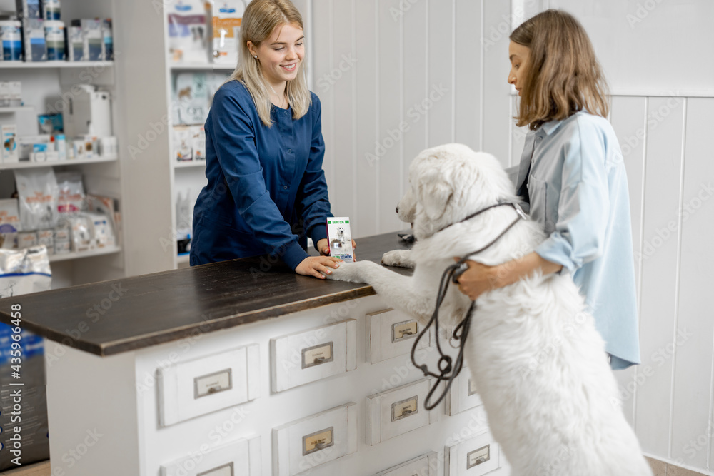 Female owner with big white dog on reception in veterinary clinic choosing medicine and vitamins for