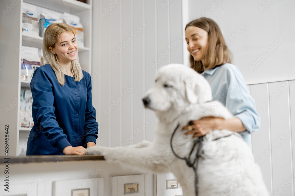 Female owner with big white dog on reception in veterinary clinic and talking with assistant. Dog cl