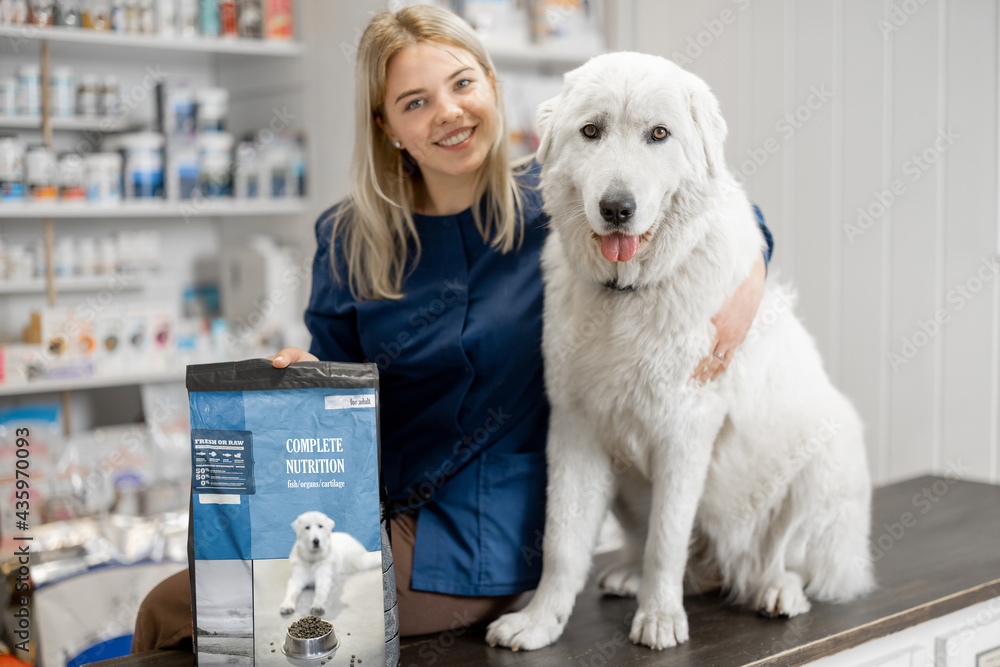 A portrait of cheerful female veterinarian and big sheepdog sitting on reception of veterinary store