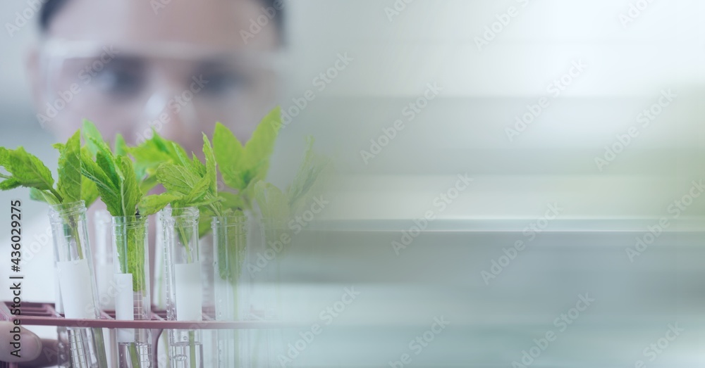 Composition of caucasian male scientist holding plant in test tubes with copy space