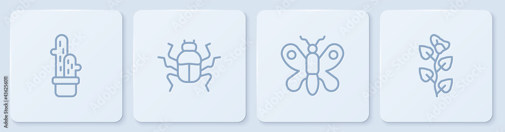 Set line Cactus peyote in pot, Butterfly, Beetle bug and Ivy branch. White square button. Vector