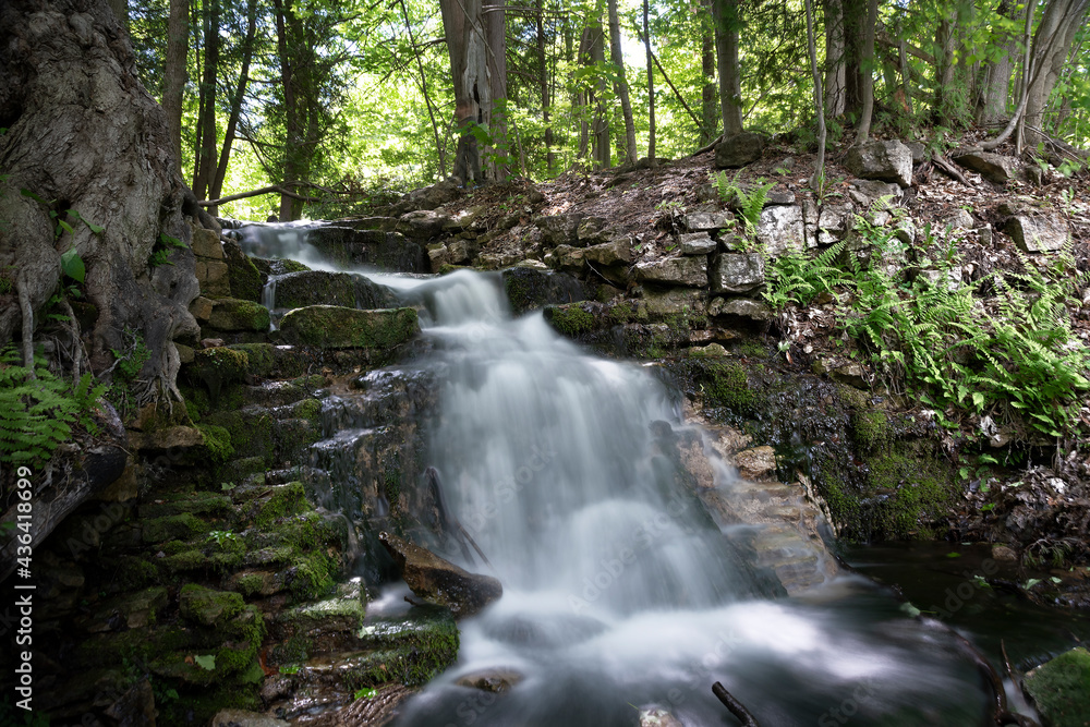 The blurred water of a small waterfall flows down a rocky hill in a forest, flanked by the trunk of 