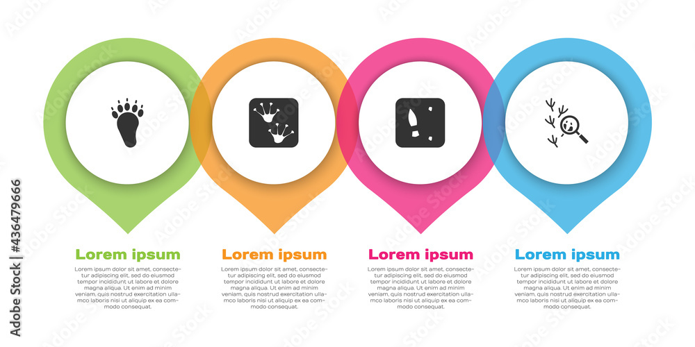 设置熊掌足迹、青蛙、人类足迹鞋和鸟。商业信息图模板。矢量