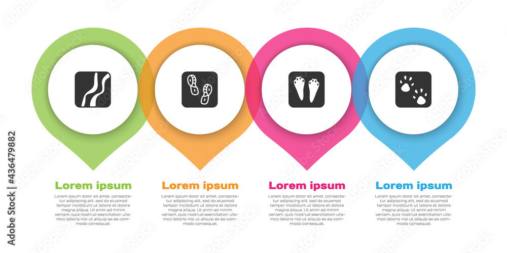 设置蛇爪足迹，人类足迹鞋，兔子和兔子以及爪子。商业信息图templ