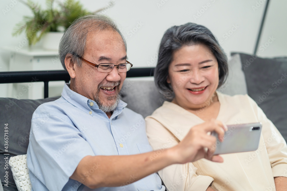 Happy Senior older grandparent couple virtual video call with family.