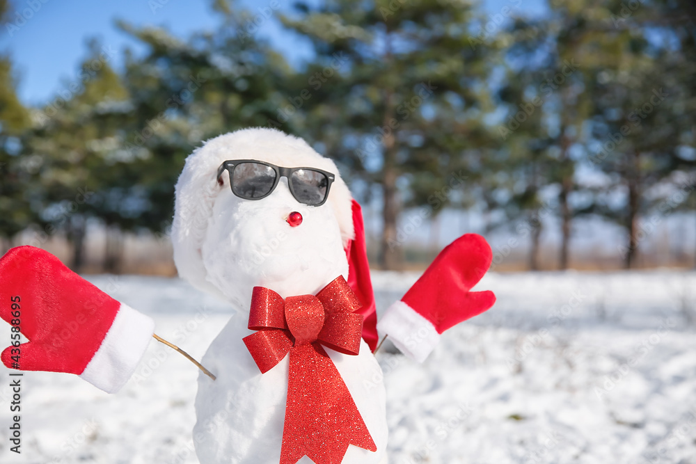 Funny snowman with sunglasses in park