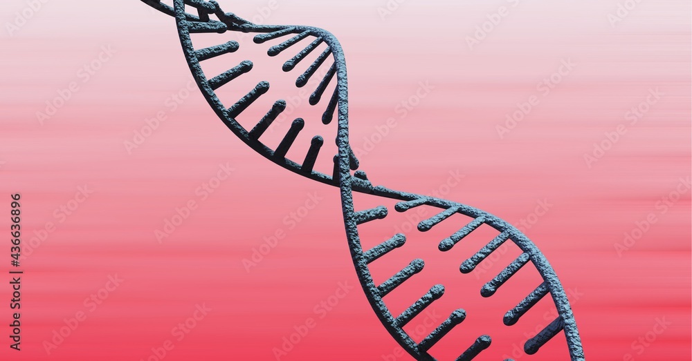 Composition of 3d dna strand on pink background