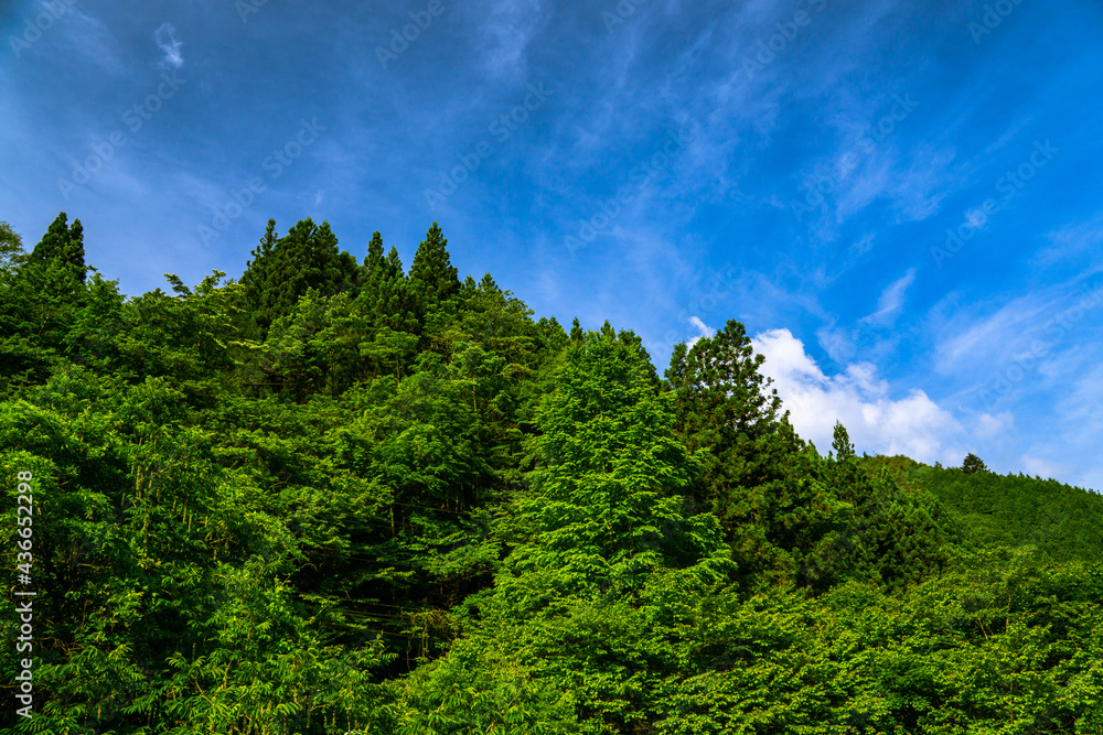 山　青空　緑　風景