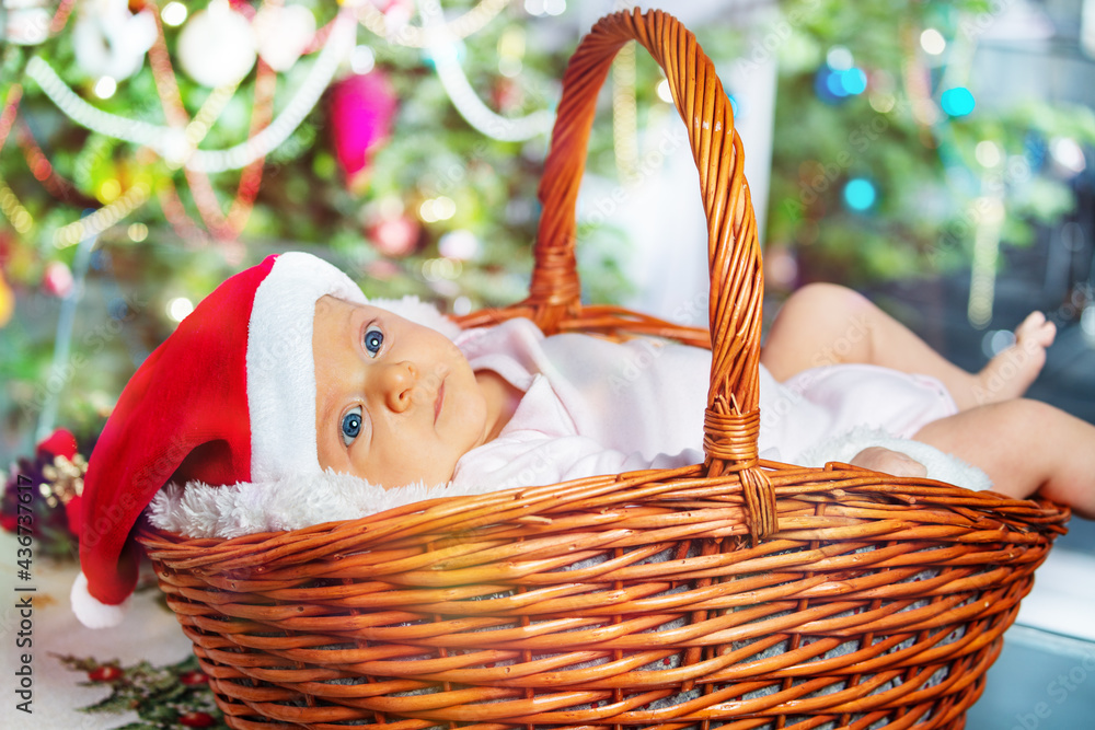 Baby girl lay in basket under Christmas tree