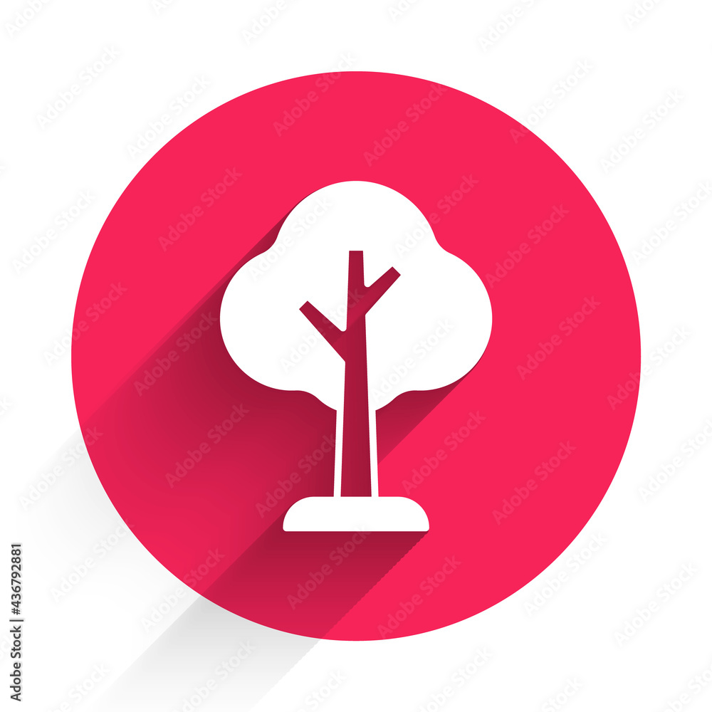 White Tree icon isolated with long shadow. Forest symbol. Red circle button. Vector