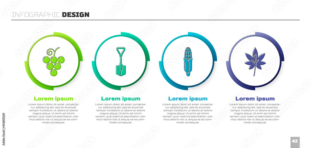 Set Grape fruit, Shovel, Corn and Leaf or leaves. Business infographic template. Vector