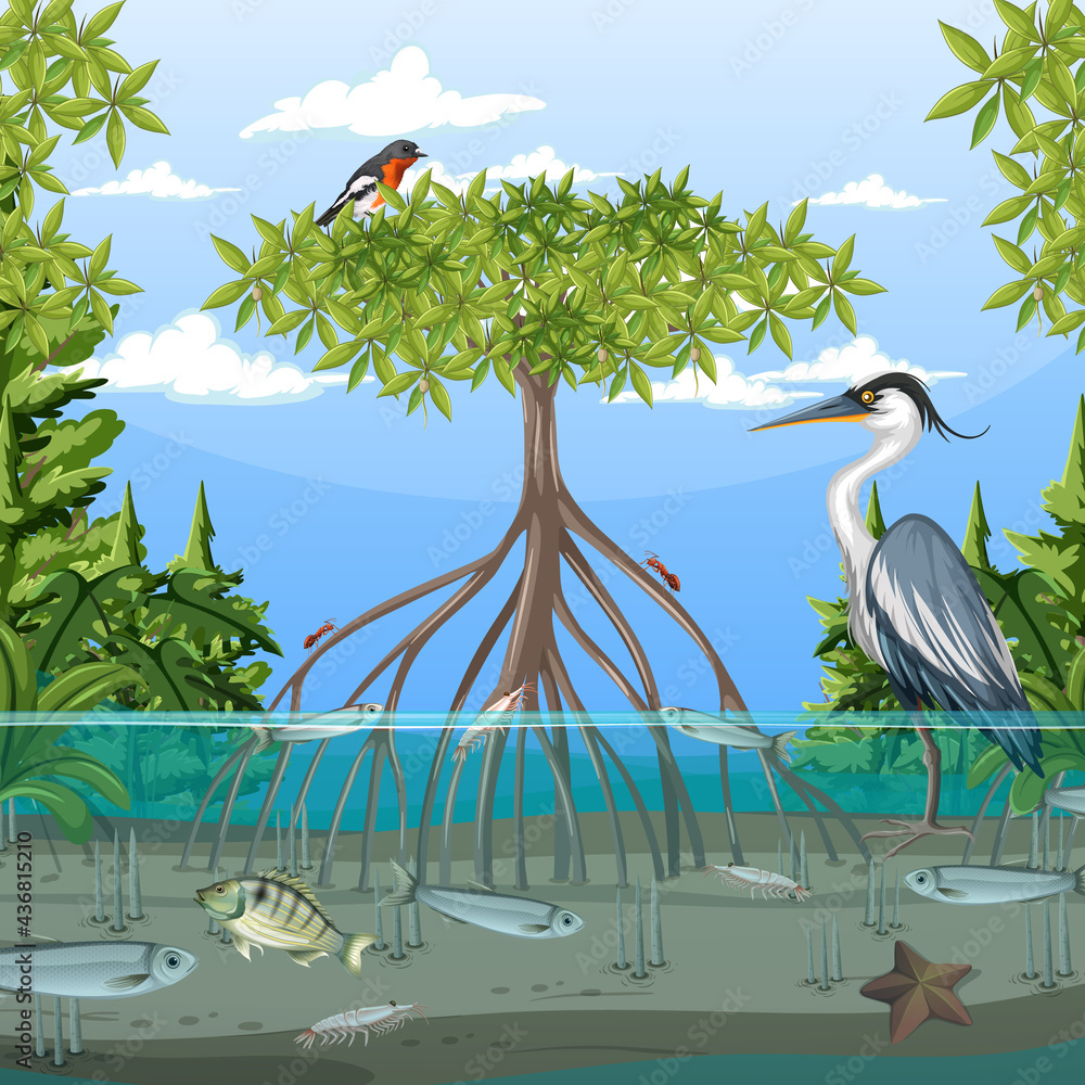 Mangrove forest scene at daytime with animals