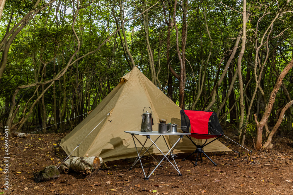 森でキャンプ　Camping in the early summer forest 