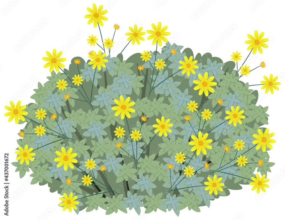 Brittlebush in cartoon style isolated on white background