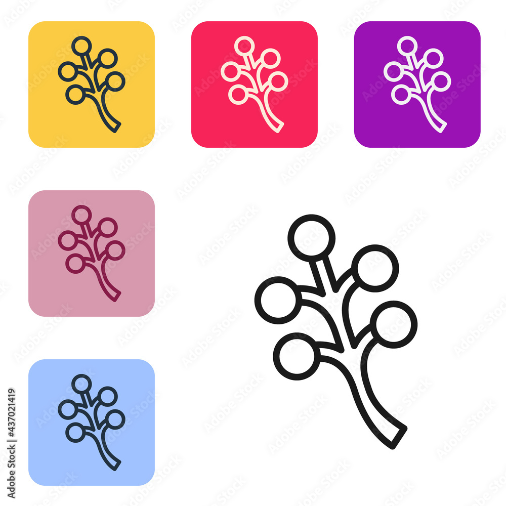 Black line Blossom tree branch with flowers icon isolated on white background. Set icons in color sq