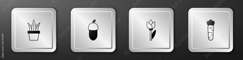 Set Plant in pot, Acorn, Flower tulip and Carrot icon. Silver square button. Vector