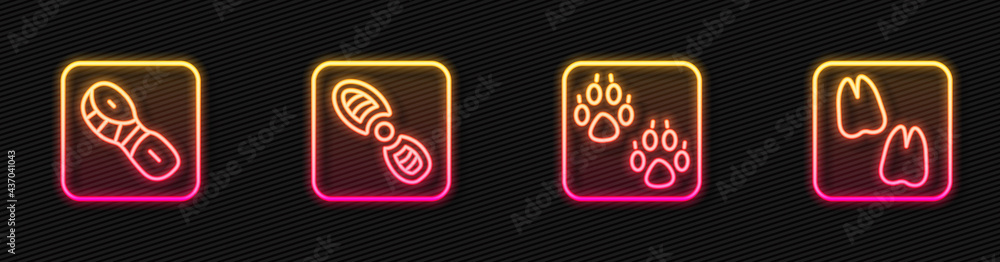 Set line Paw print, Human footprints shoes, and Camel paw. Glowing neon icon. Vector