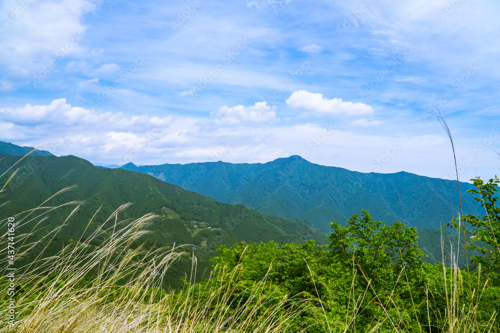 新緑の風景　浅間嶺からの景色　春