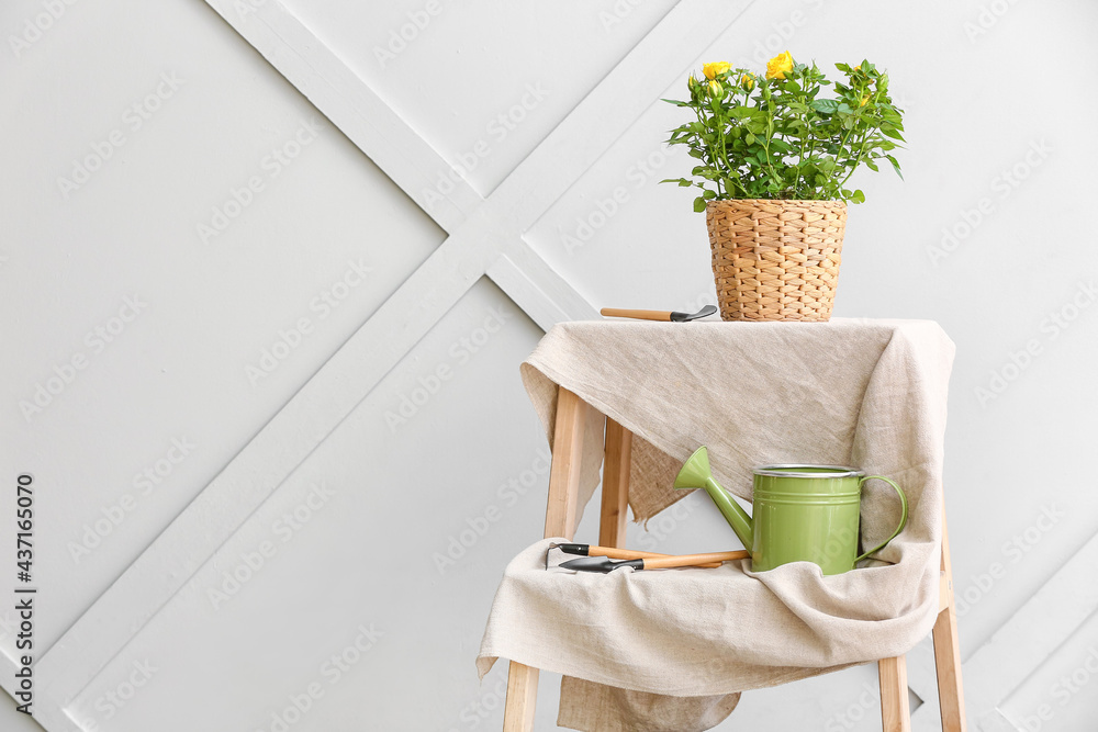 Beautiful yellow roses in pot and gardening tools on table near light wall