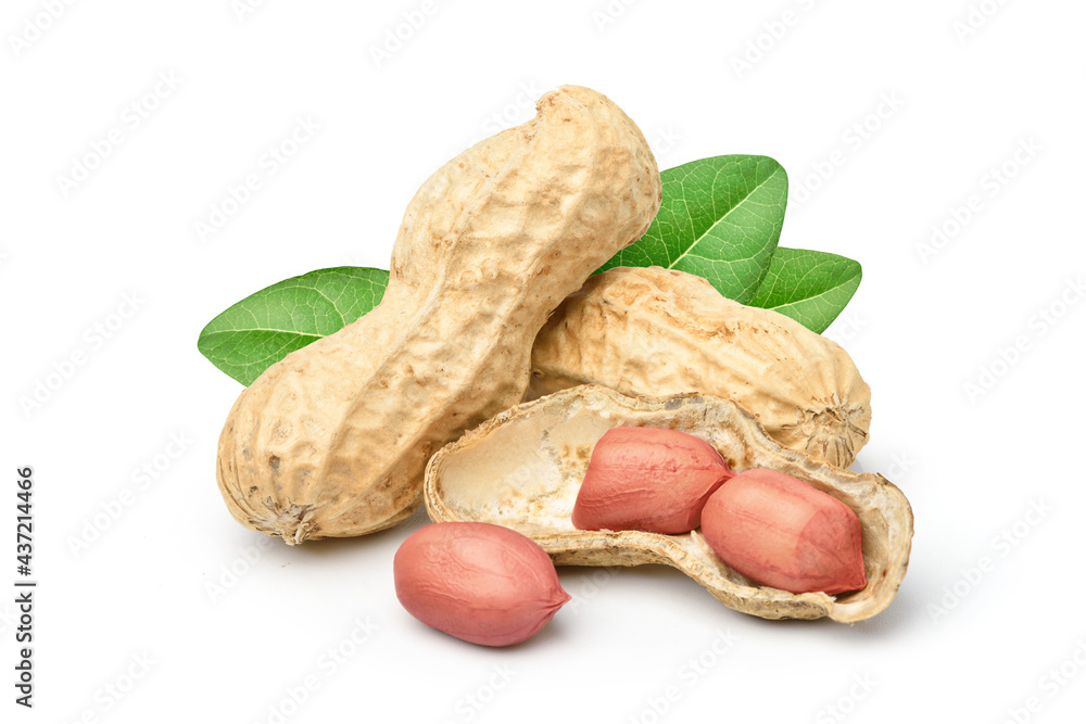 Close-up of peanuts and nutshell isolated on white background.