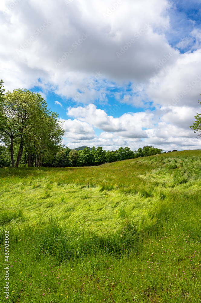 Paysage dAuvergne en Haute-Loire en France au printemps avec un ciel menaçant