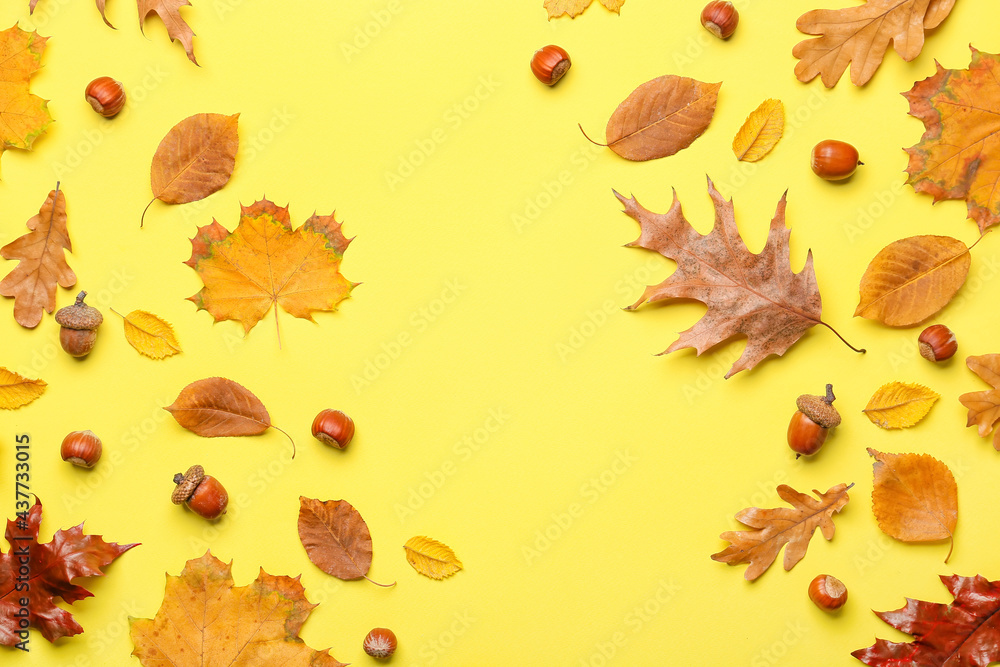 Beautiful autumn composition on color background