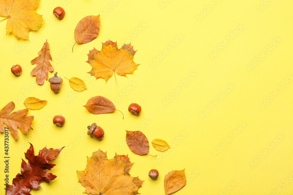 Beautiful autumn composition on color background