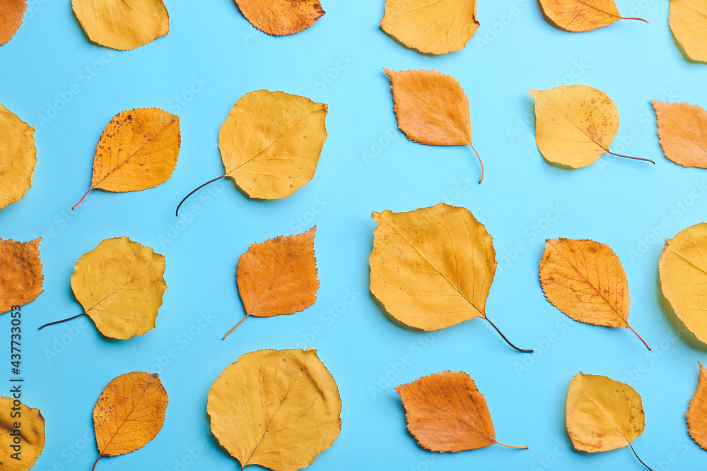 Beautiful autumn leaves on color background