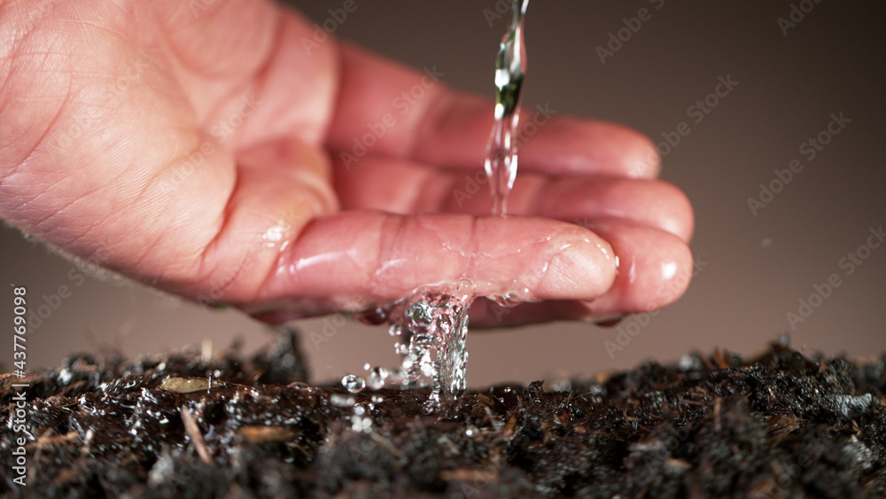 Seed and planting concept with Male hand watering young plant