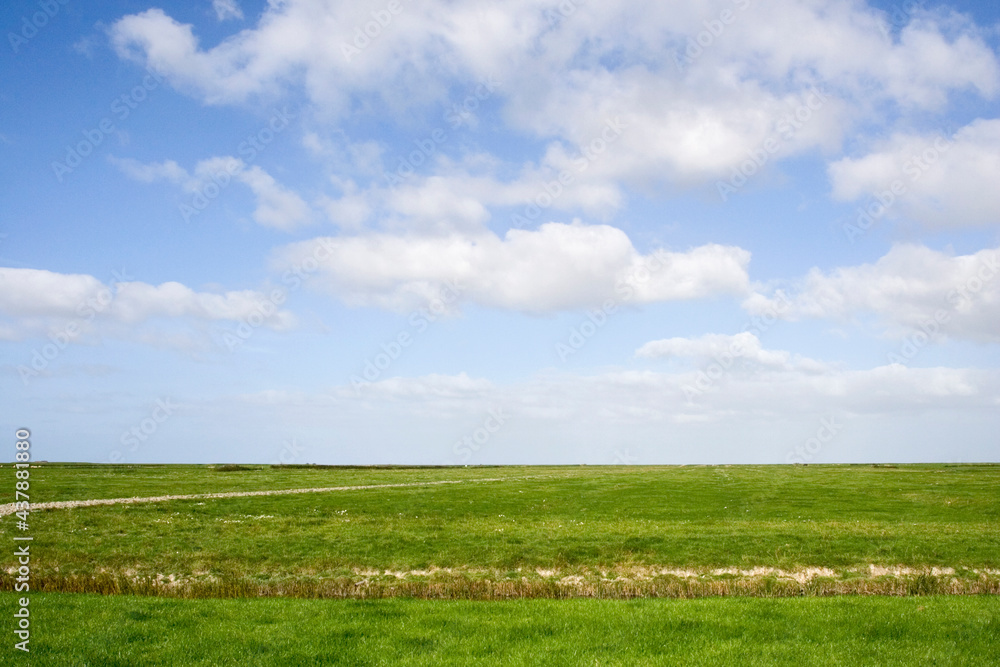 Buitendijkse weilanden, Coastal meadows