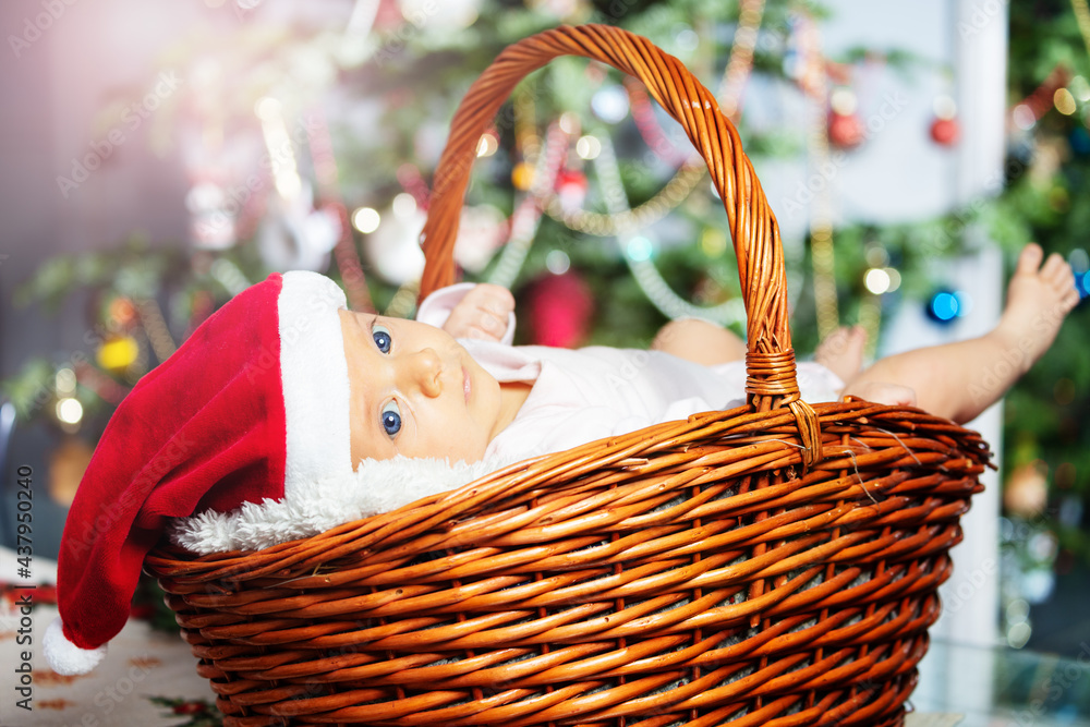 Closeup of baby lay in basket under Christmas tree