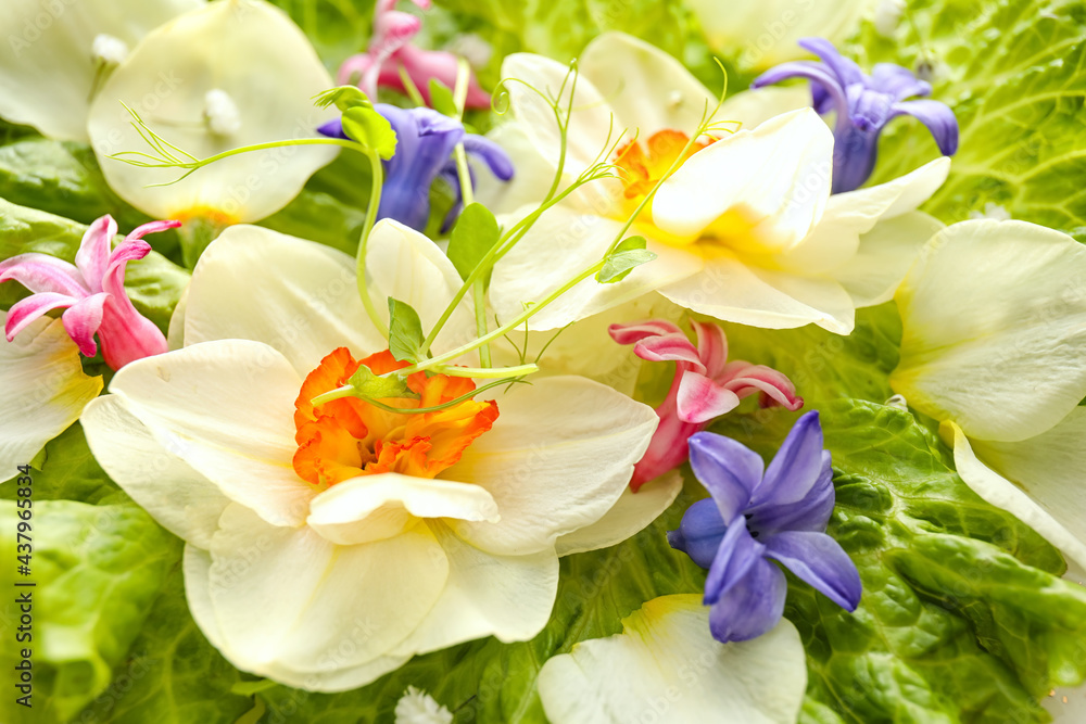 Fresh lettuce and beautiful flowers, closeup