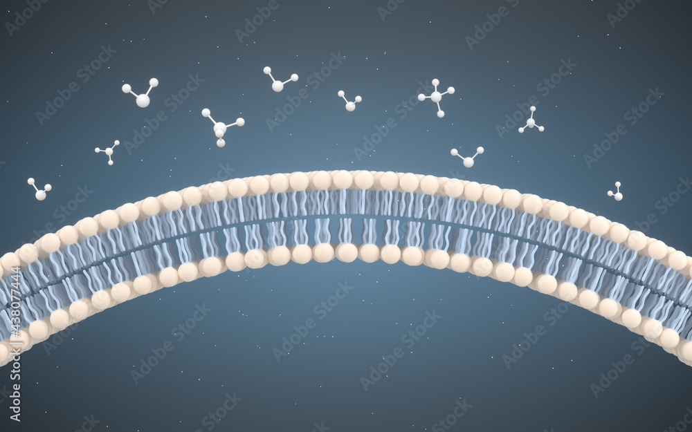 细胞膜和分子，三维渲染。