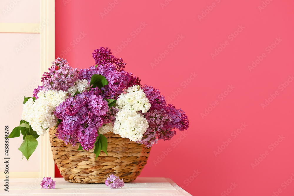 Basket with lilac flowers on table near color wall