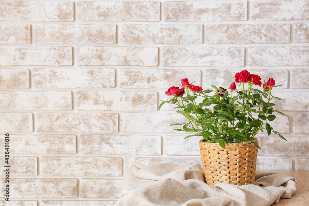 Beautiful red roses in pot on table near brick wall