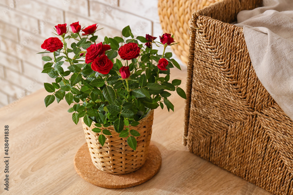 Beautiful red roses in pot on table near brick wall