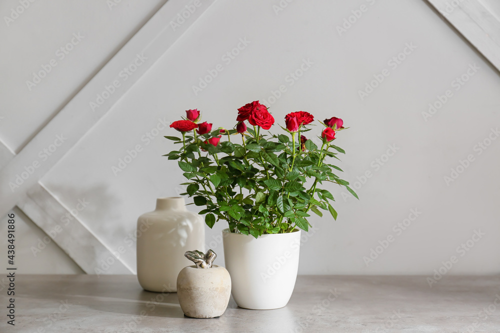 Beautiful red roses in pot and decor on light background