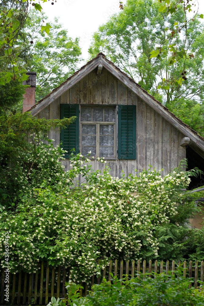 Roof top with window and shutters of old wooden house at City of Zurich at summertime. Photo taken J