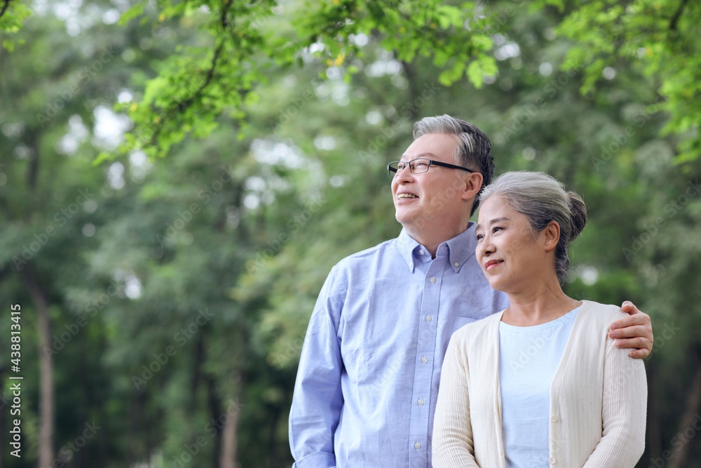 幸福的老夫妇在公园里看风景